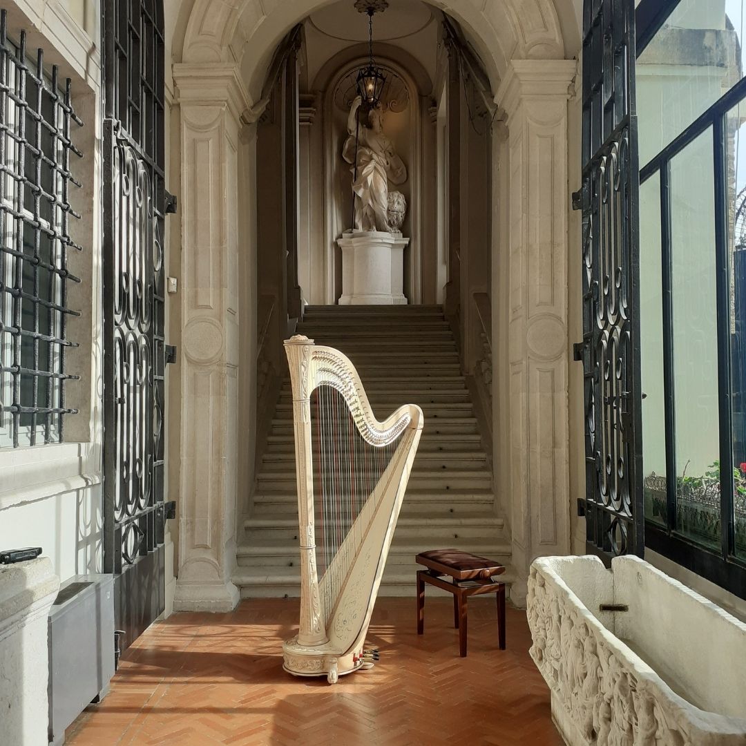 Emozione in musica al MaNAM